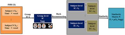 Variability in Resting State Network and Functional Network Connectivity Associated With Schizophrenia Genetic Risk: A Pilot Study